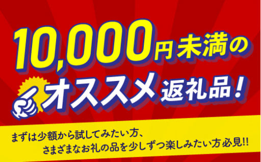 🔥10,000円未満のオススメ返礼品特集!!🔥