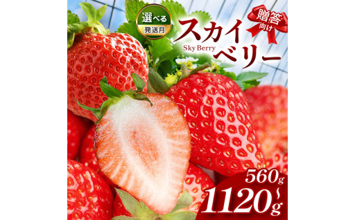 真岡の🍓大空に届けスカイベリー🛩️