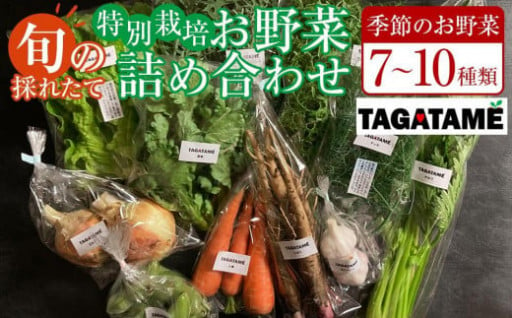 特別栽培 旬の採れたて お野菜 7～10種類詰め合わせセット TAGATAME