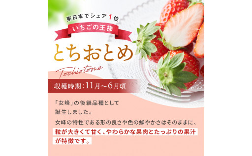 栃木のいちご認知度NO.1🍓みんな大好き「とちおとめ」