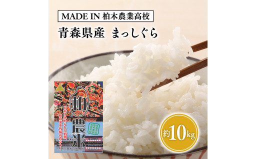 【MADE IN 柏木農業高校】11月中旬～発送 新米　令和6年産 まっしぐら 10kg