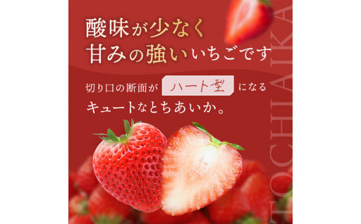 栃木のいちご代表🍓期待の品種「とちあいか」