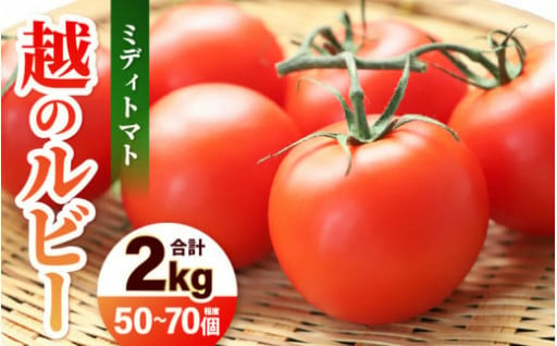 【絶妙✨】フルーツトマト🍅甘みと酸味のバランス👌