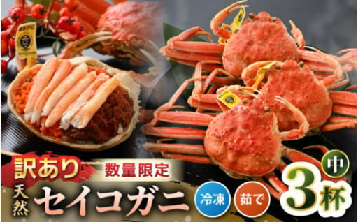 【期間限定】希少🦀✨獲れたて！旬のセイコガニ🦀