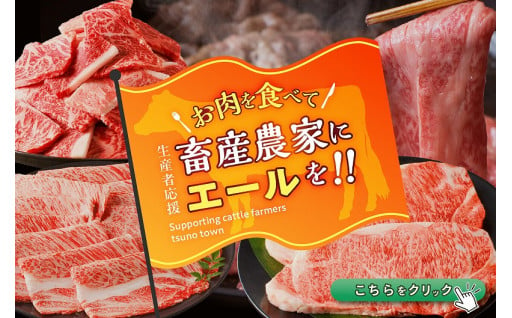 【宮崎県都農町】生産者応援🚨本日まで🚨