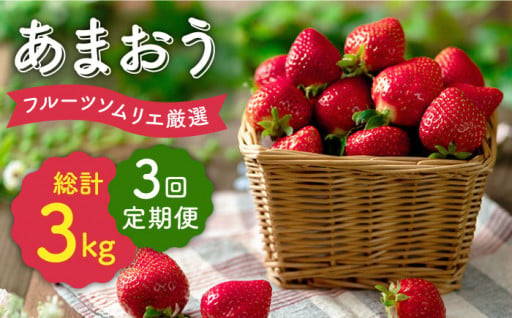 🍓【10月31日まで！】フルーツソムリエ厳選あまおう🍓