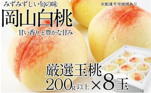 【先行予約】岡山の白桃200ｇ×8玉