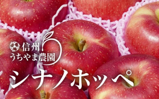 【おすすめ】ほっぺたが落ちるほど美味しいが由来のりんご食べてみませんか🍎