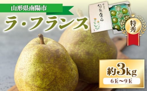 【令和6年産先行予約】 ラ・フランス 約3kg (6～9玉 特秀) 《令和6年11月上旬～発送》