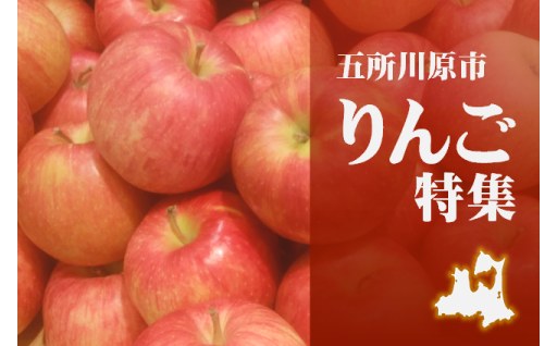 【2024年最新】青森県産りんご特集【オススメの選び方】