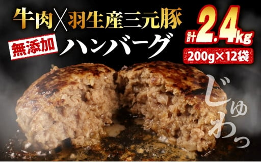 肉汁たっぷり 無添加 ハンバーグ 大満足の2.4kg ！