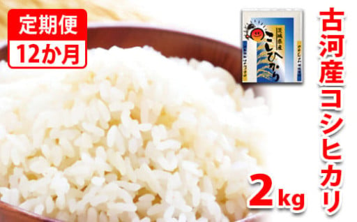 【新米】【定期便 12か月】令和6年産 古河市産コシヒカリ 2kg _DP30