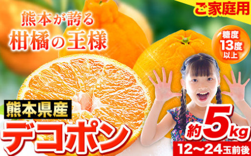 デコポンがかなり人気です！