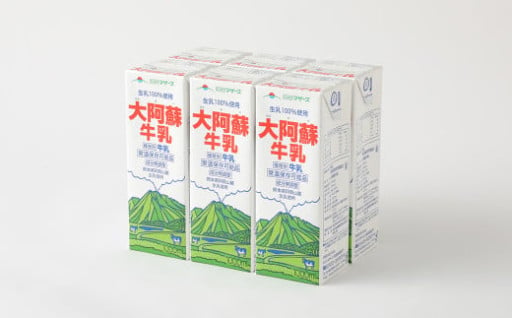 【3ヶ月定期便】 大阿蘇牛乳 1000ml×6本入り