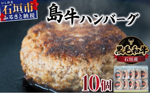 担当者イチオシ!! 石垣産《黒毛和牛》石垣島 島牛ハンバーグ 100g×10個