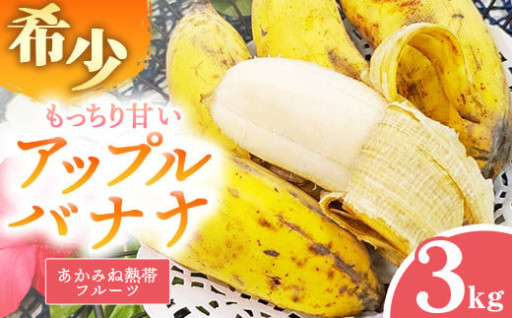 【希少栽培種】あかみね熱帯フルーツのアップルバナナ約3kg【国産】