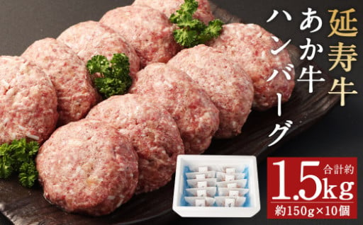 熊本県産 延寿牛 あか牛 ハンバーグ 約150g×10個 合計約1.5kg