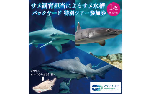 【茨城県大洗町】サメ飼育担当によるサメづくしのオリジナルツアー♪