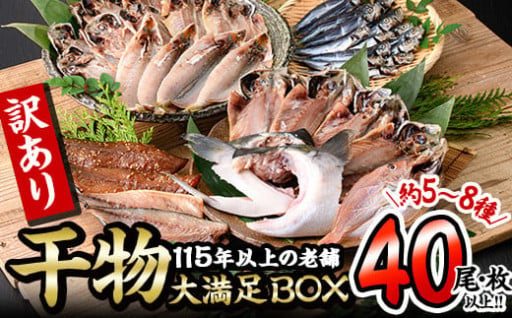 ＜訳あり＞ 干物大満足BOX (40尾以上・5-8種)