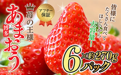 福岡県産あまおう!!  訳あり[数量限定] どど～んと大容量!!(270g×6p)