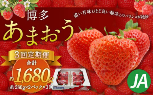 【3回定期便】博多 あまおう 2パック【2025年2月上旬～4月下旬発送予定】
