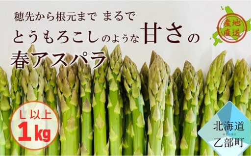 毎年大人気！乙部町の春アスパラ予約受付中！