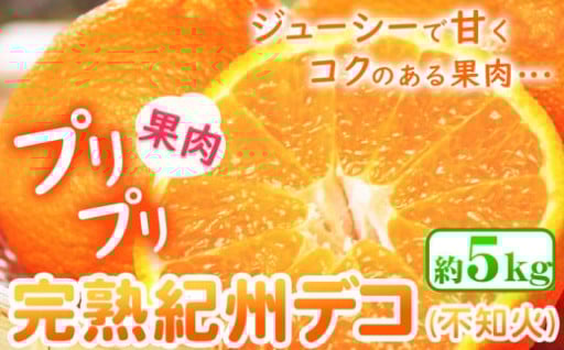 まもなく出荷開始！紀州デコ（不知火）