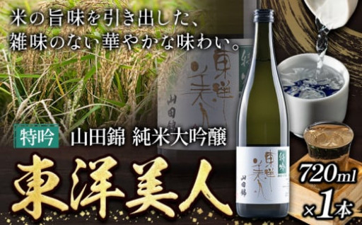 純米大吟醸 山田錦 東洋美人のご紹介です！
