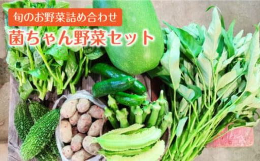 【旬の野菜を詰合せ】微生物が育てる 菌ちゃん野菜セット