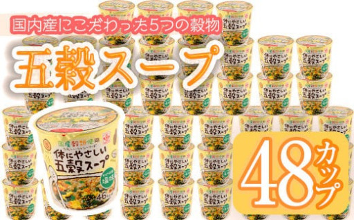 体にやさしい五穀スープ(13g×48個)