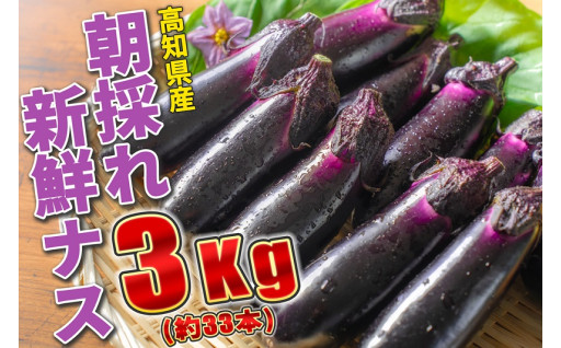 100-02高知県安芸市産ナス　3㎏　