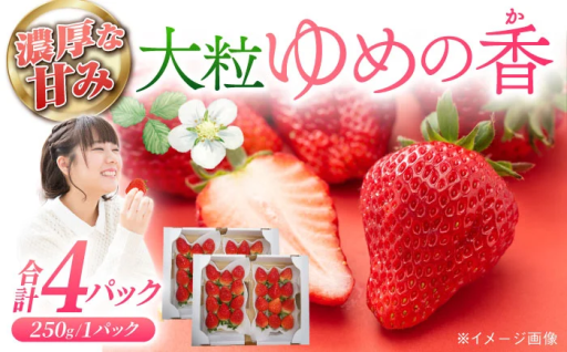 長崎県産いちご ゆめの香 【大粒！】約1kg（250g×4パック）
