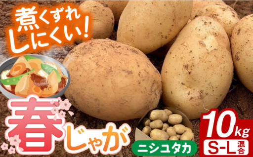 ＜2025年5月上旬〜発送＞長崎県産 春作じゃがいも ニシユタカ 10kg
