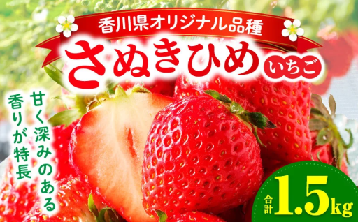 【香川県三木町】いちご部会🍓さぬきひめ1.5kg