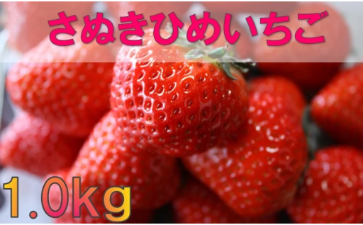 【香川県三木町】いちご部会🍓さぬきひめ1.0kg
