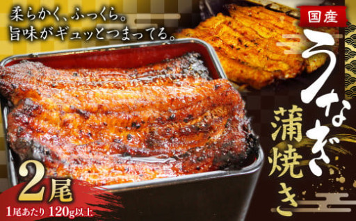 ウナギ 蒲焼き 2尾