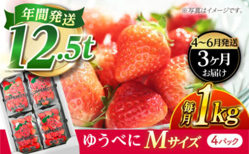 《4月より発送開始》【3回定期便】 いちご Mサイズ ゆうべに 1kg（4pc）【熊本ベリー】 