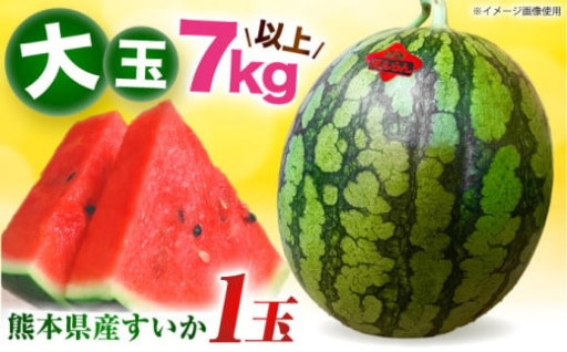 【先行予約】【数量限定】大玉スイカ 約7kg以上（1玉）【とみおか農園】