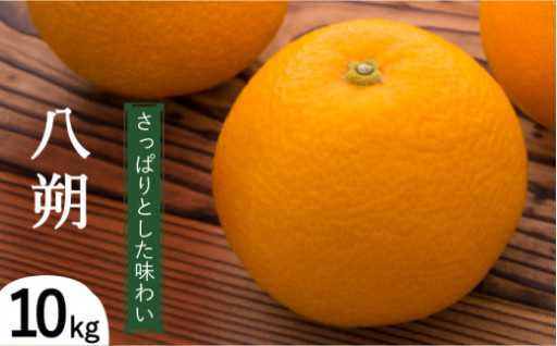 八朔（10Kg）/ 日野江