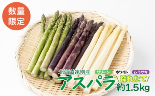 遠別の春の味覚『アスパラ』