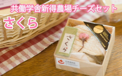 【残り１ヶ月！】春の桜香る～さくらのセット～