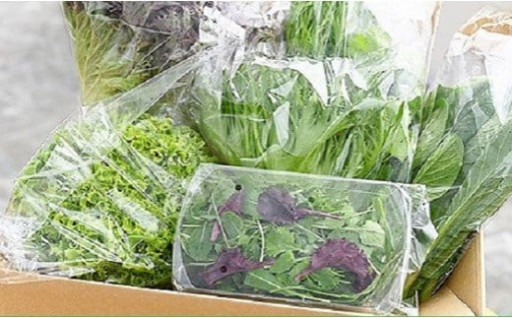 水耕栽培 新鮮 葉物 野菜 Aセット