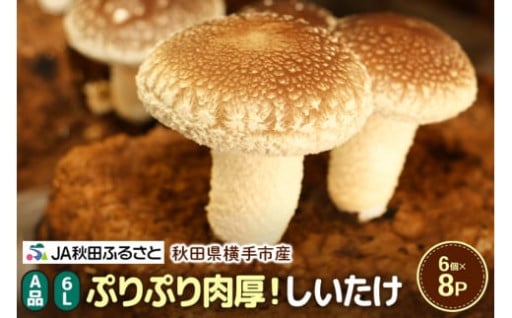 歯ごたえ抜群！ ぷりぷり肉厚しいたけ