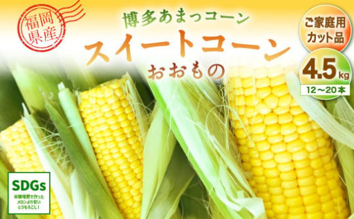 SDGs米糠堆肥で作ったとうもろこし「博多あまっコーン（ご家庭用カット品）」 4.5kg
