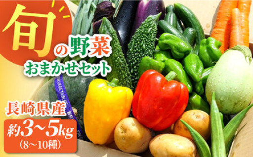 旬をお届け！季節に合わせて8~10種のお野菜をお送りします♪
