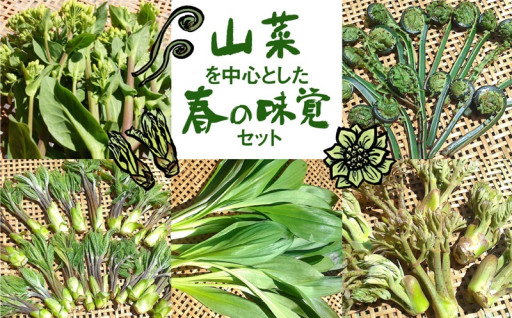 【春間近】山菜を中心とした春の味覚セット