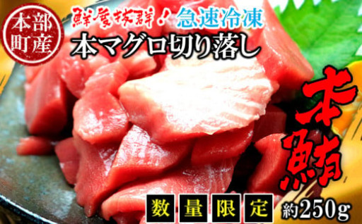 数量限定　本部町産　本マグロ切り落し　約250g