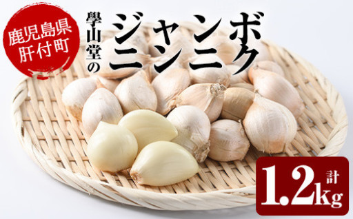  ＜先行予約！＞ジャンボにんにく(計1.2kg)