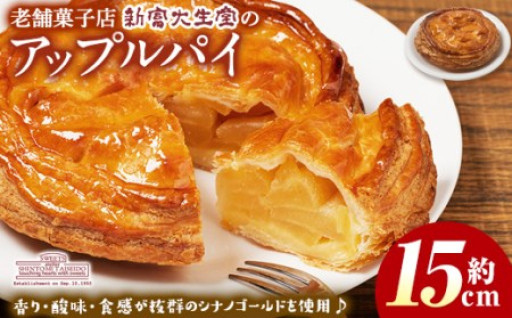 ＜期間限定・2025年4月発送分＞アップルパイ(約15cmホールタイプ)