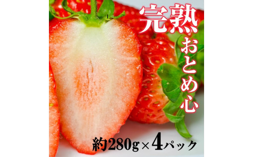 春の訪れを感じさせる🍓いちご「おとめ心」🍓をお届けします🚛